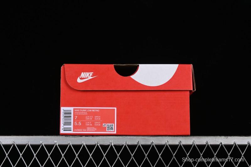 Nike Dunk Low Retro SB Casual Sneakers in Ice Blue Colorway - DV0833-104