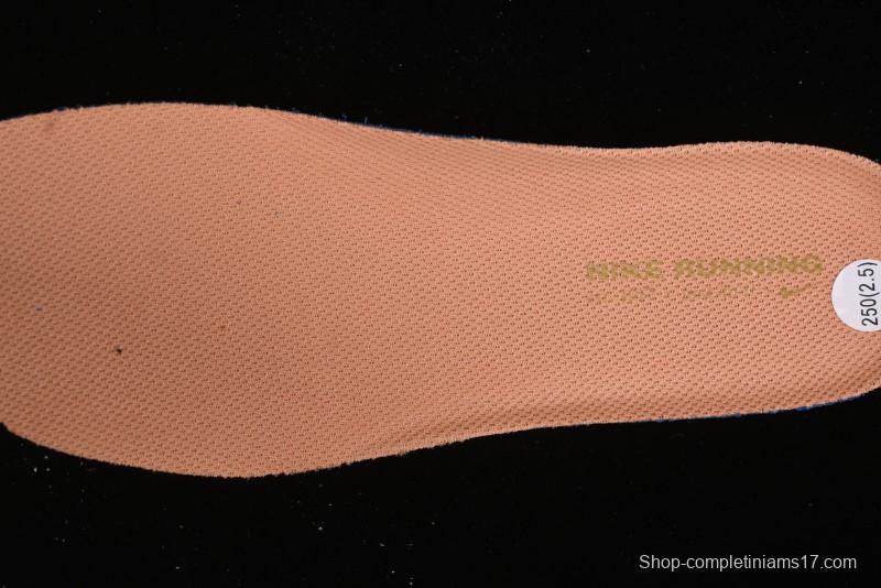 Nike Air Zoom Vomero 17 Summer 2024 Cushioned Casual Running Shoes with Zoom Air Unit - FB1309-006