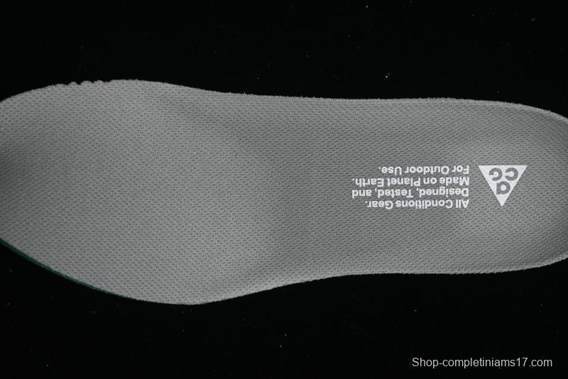 Nike ACG Mountain Fly 2 Low GTX SE Outdoor Hiking Shoes - DV7903-300