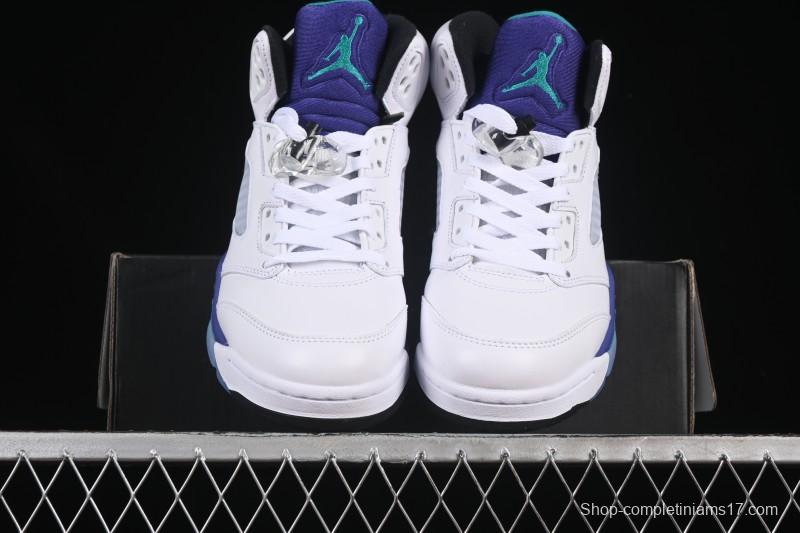 Nike Air Jordan 5 OG Grape Basketball Shoes - HQ7978-100