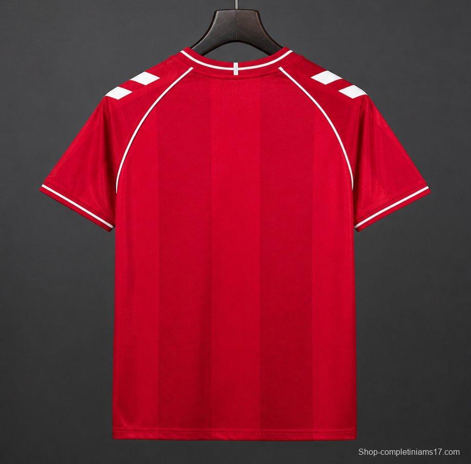 2026 Denmark Home Jersey